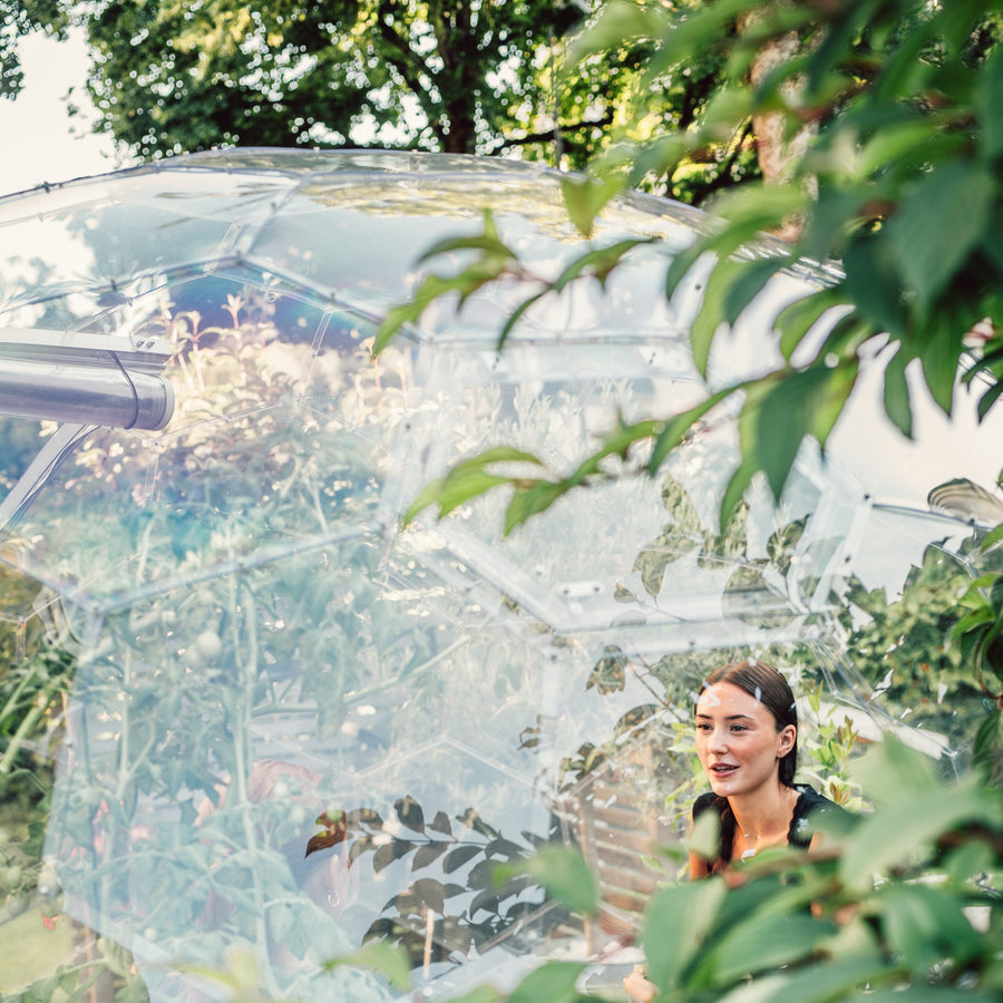 Dome
