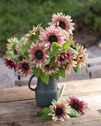 Solros frö Pro Cut Plum fröer – dangarden