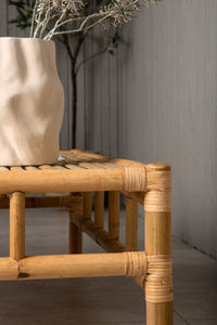 Cane Bord 