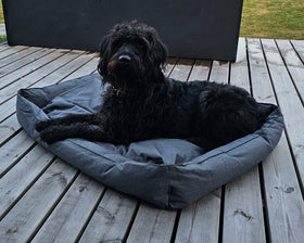Panier pour chien