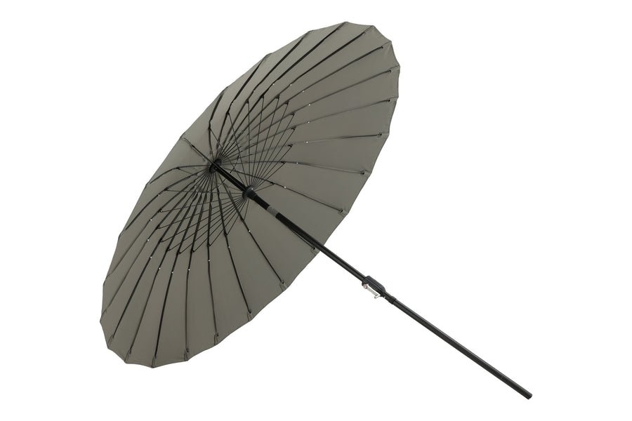 Palmetto Parasoll