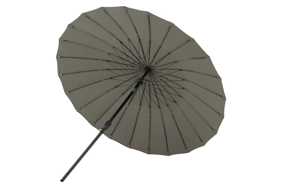 Palmetto Parasoll