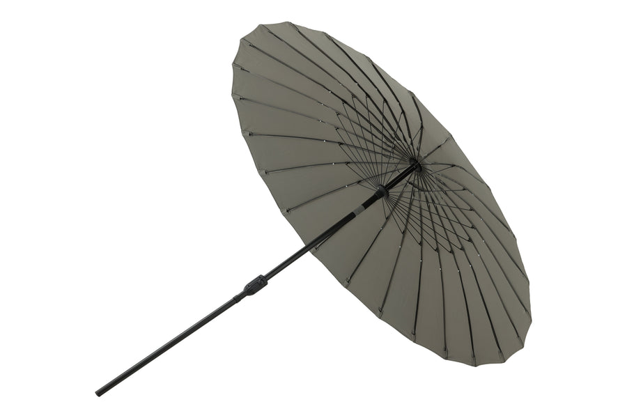 Palmetto Parasoll