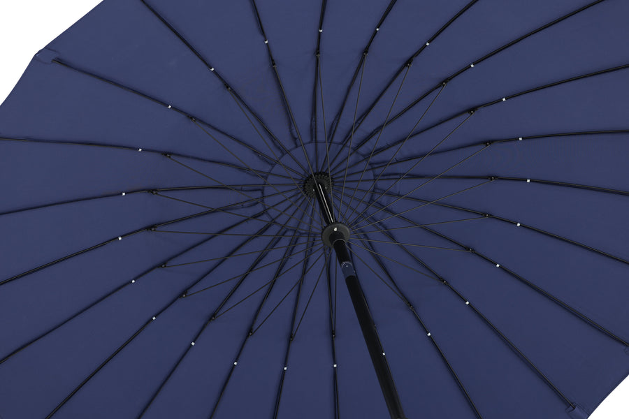 Palmetto parasol