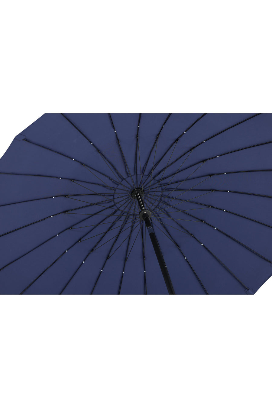 Palmetto parasol