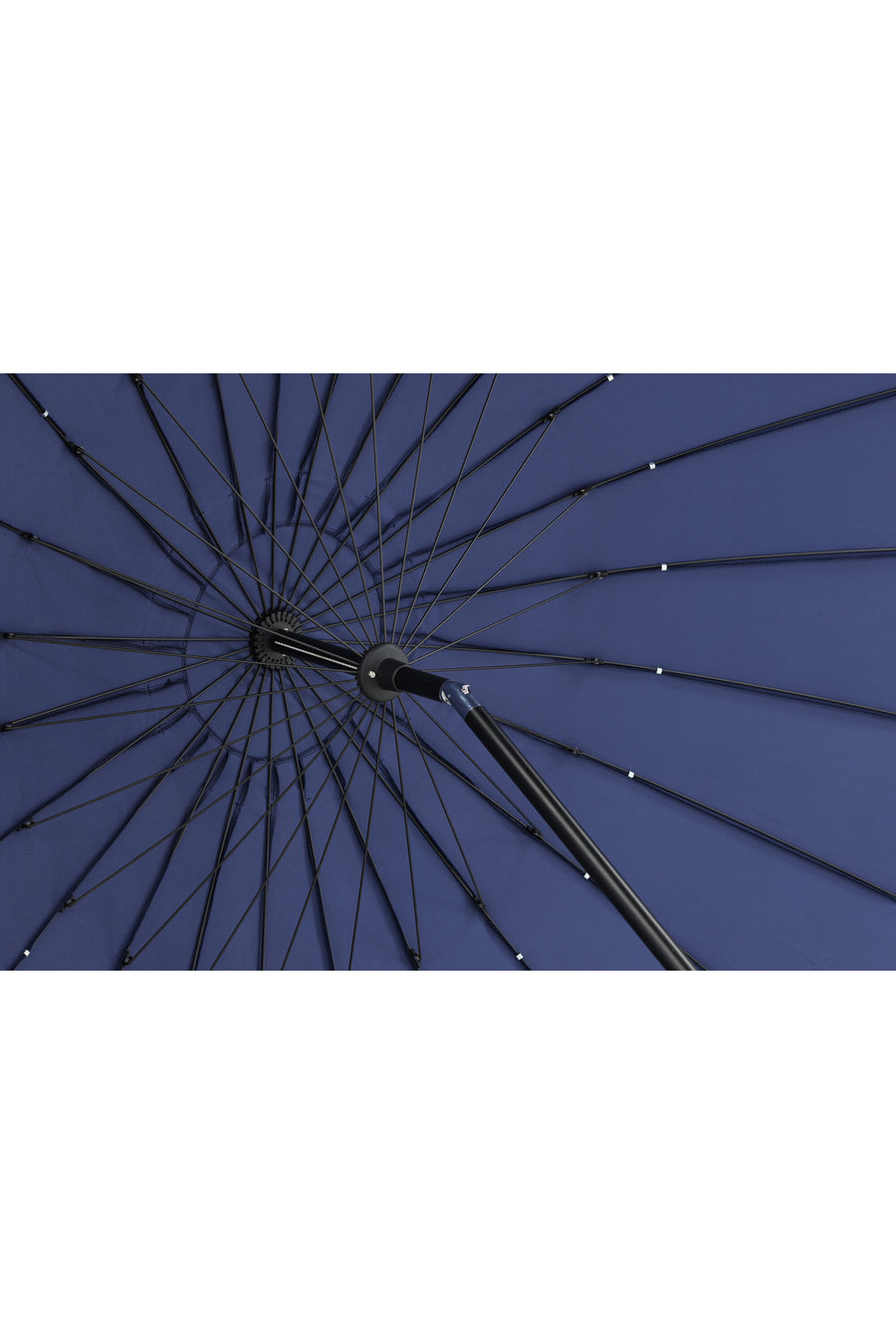 Palmetto parasol