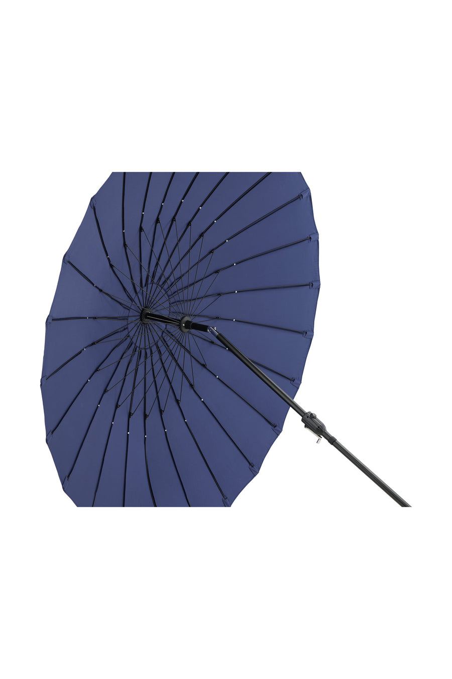 Palmetto parasol