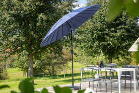 Palmetto parasol