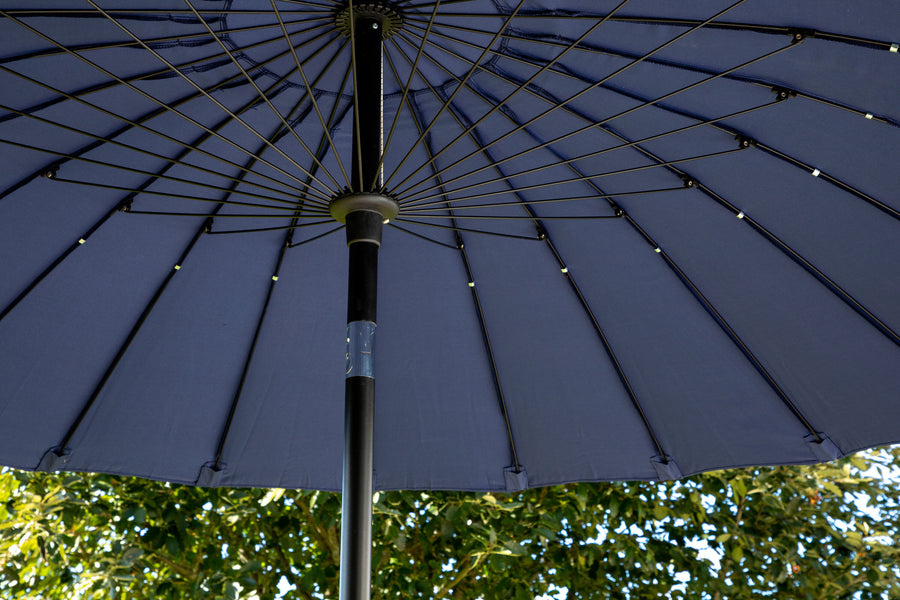 Palmetto parasol