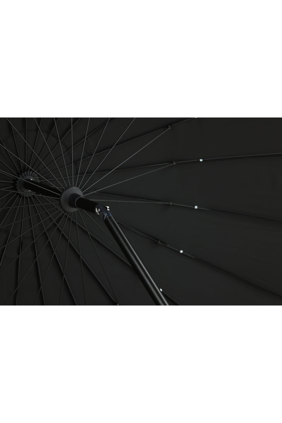 Palmetto parasol