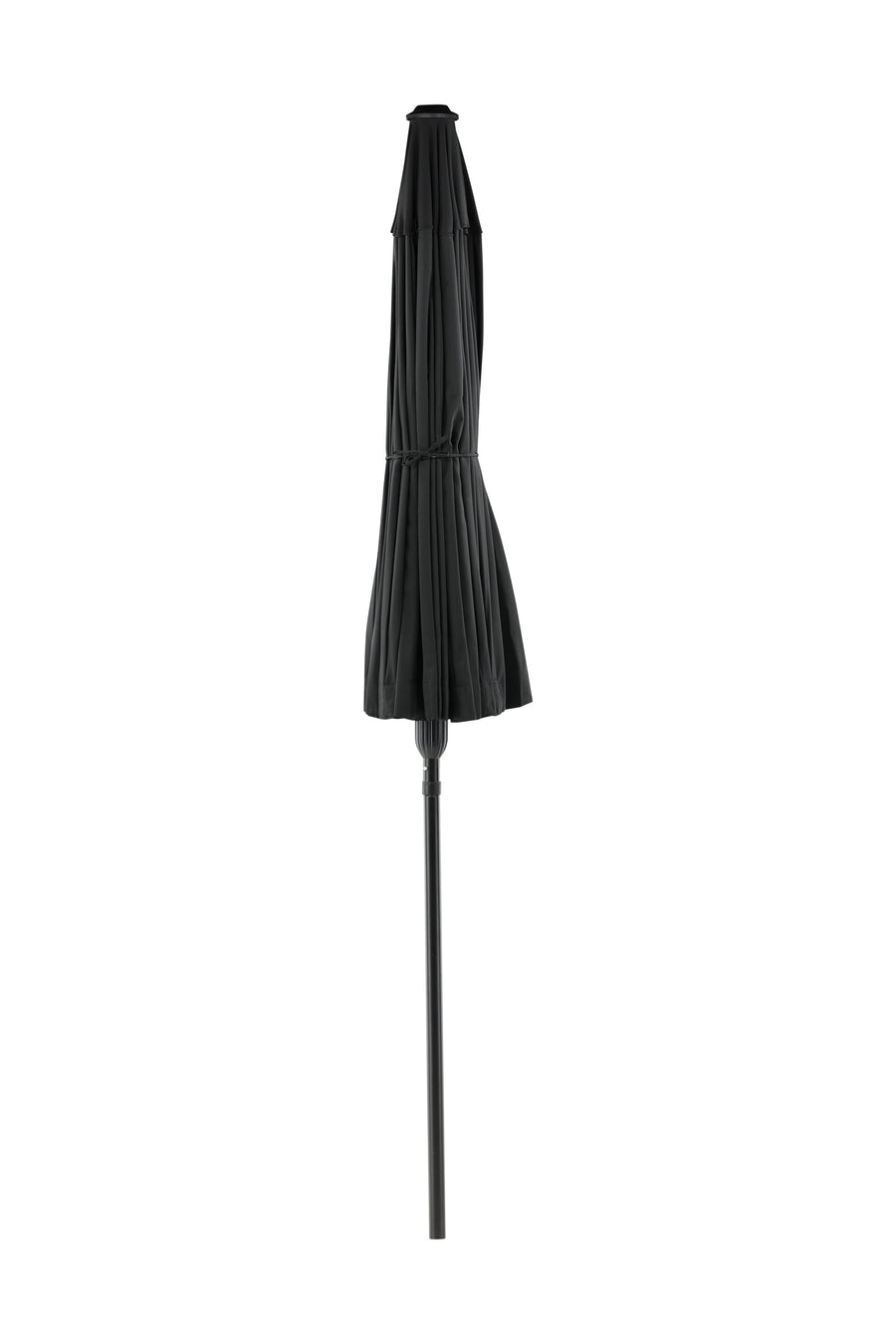 Palmetto parasol