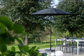 Palmetto parasol
