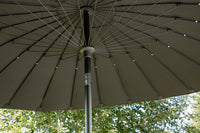 Palmetto parasol