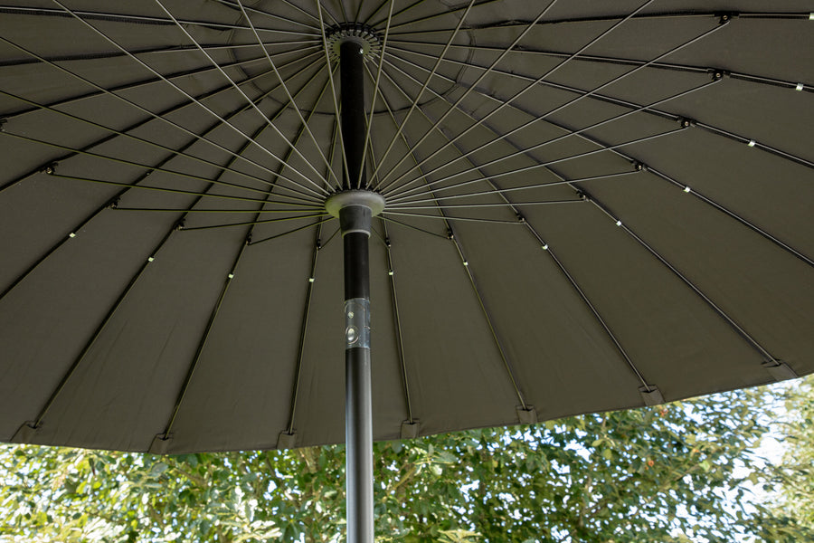 Palmetto parasol
