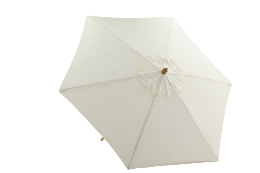 Parasol Corypho 