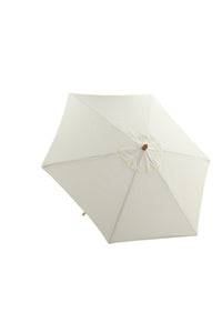 Parasol Corypho 
