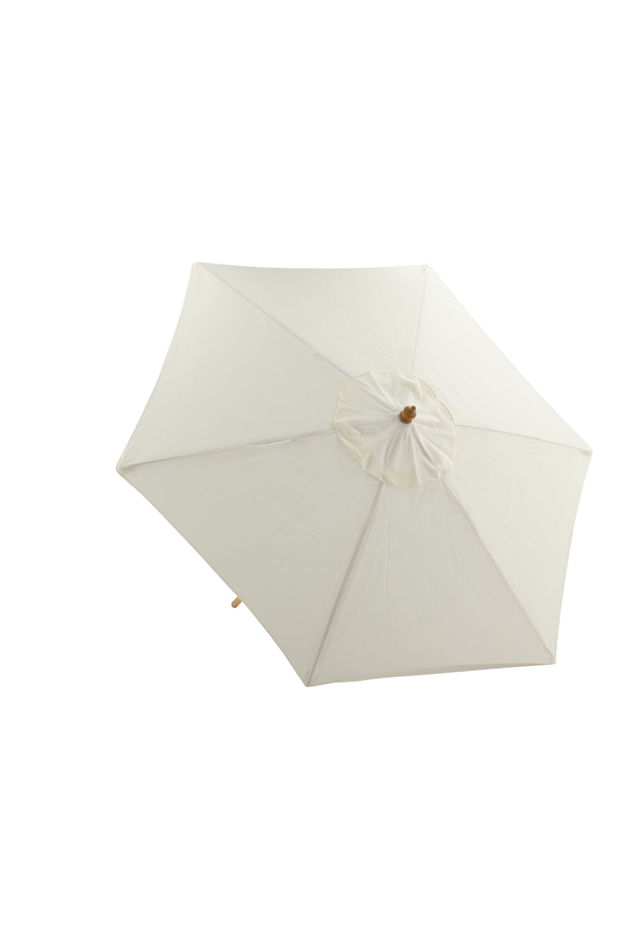 Parasol Corypho 