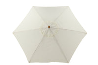 Parasol Corypho 