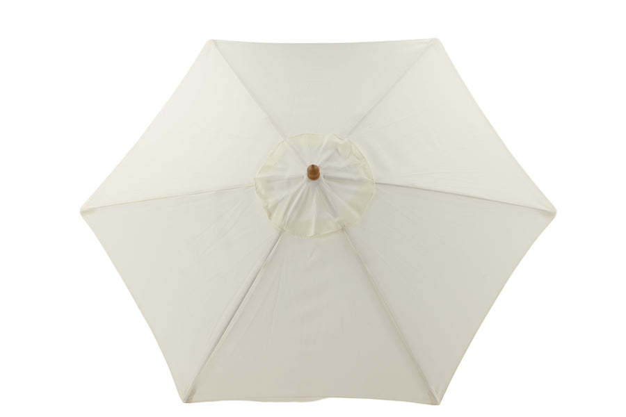 Parasol Corypho 