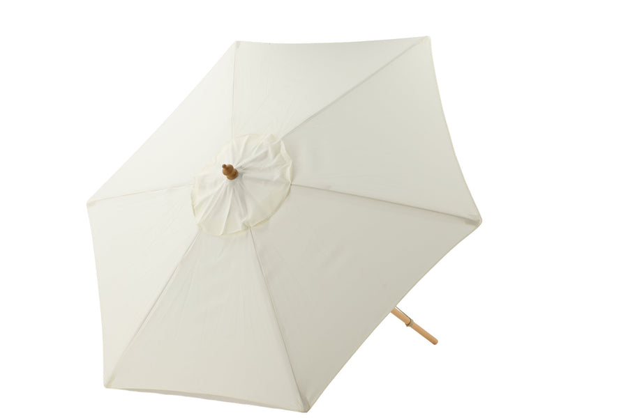 Parasol Corypho 