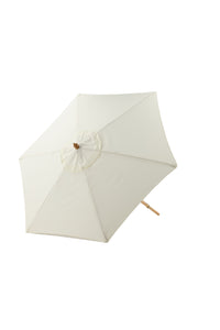 Parasol Corypho 