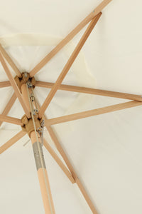 Parasol Corypho 