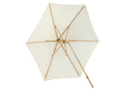 Parasol Corypho 