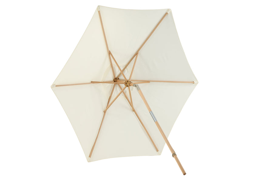 Parasol Corypho 