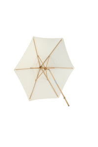 Parasol Corypho 
