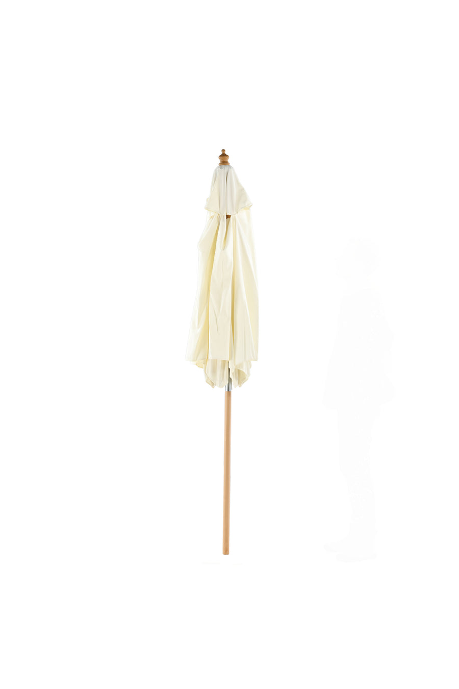 Parasol Corypho 