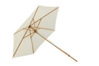 Parasol Corypho 