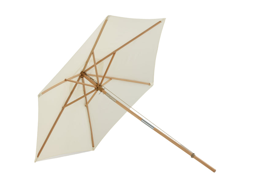 Parasol Corypho 