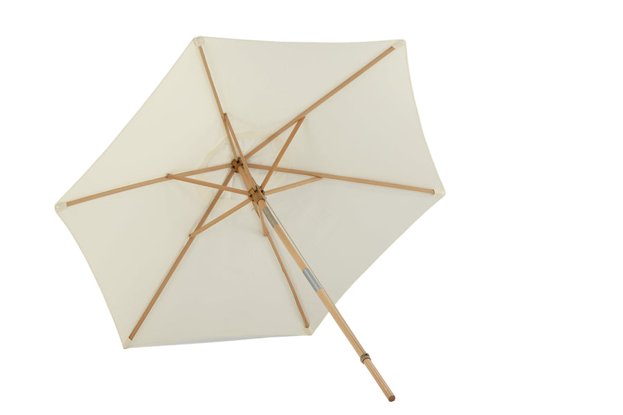 Parasol Corypho 