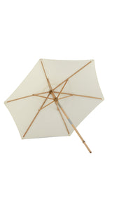 Parasol Corypho 