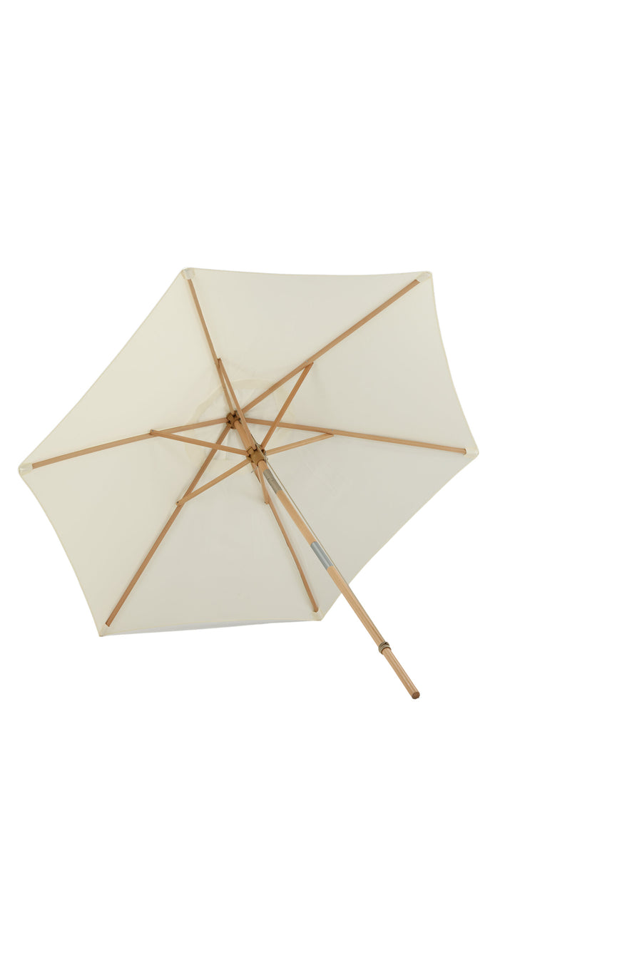 Parasol Corypho 