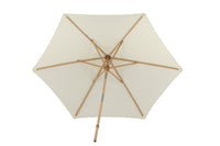 Parasol Corypho 