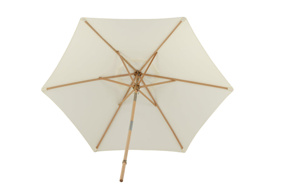 Parasol Corypho 