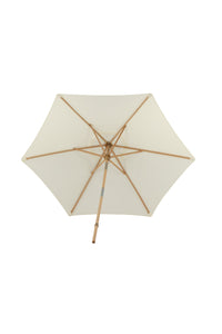 Parasol Corypho 