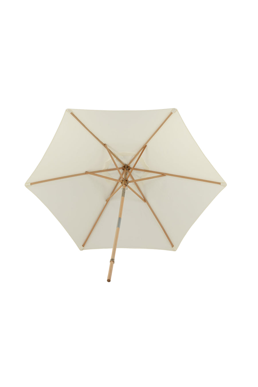 Parasol Corypho 