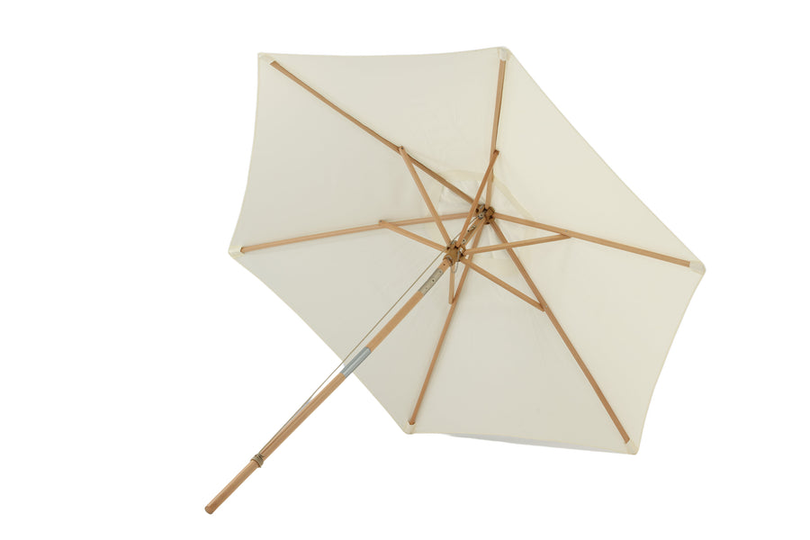Parasol Corypho 