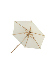 Parasol Corypho 