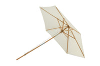 Parasol Corypho 