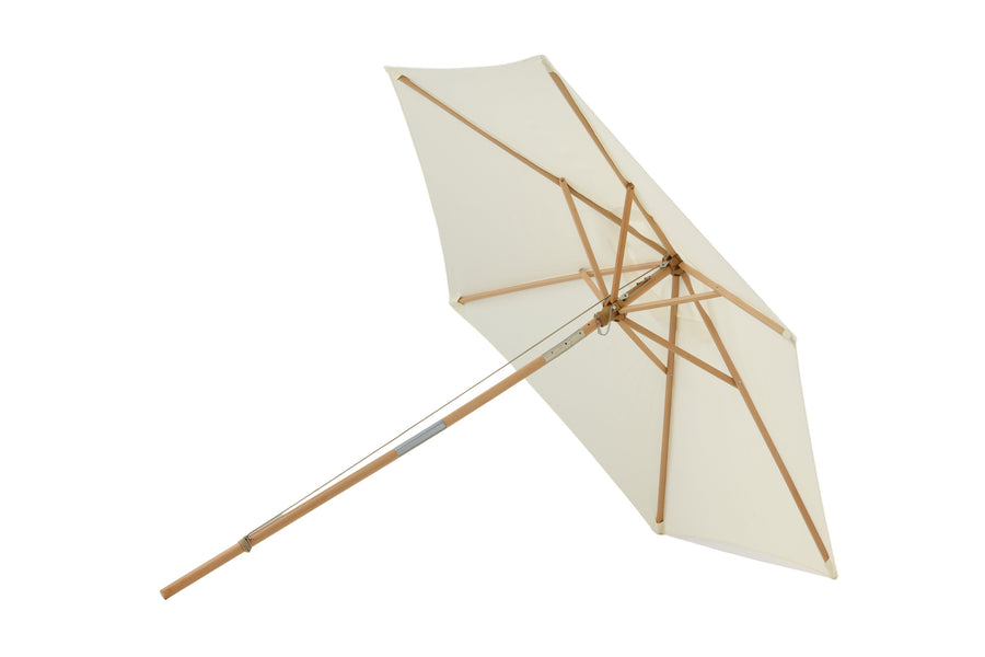 Parasol Corypho 