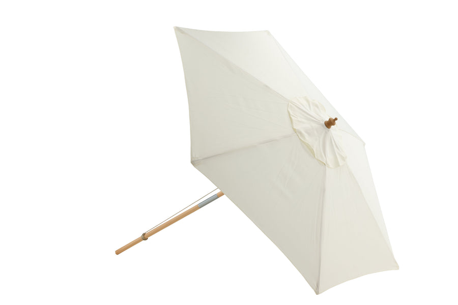 Parasol Corypho 