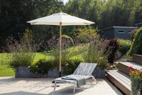 Parasol Corypho 