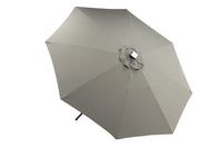 Sabal Parasol 