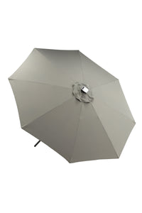 Sabal Parasol 