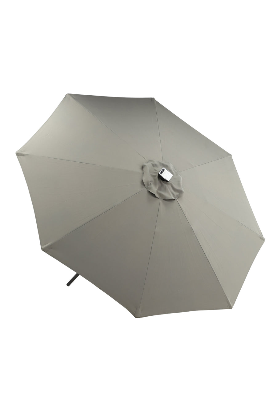 Sabal Parasol 