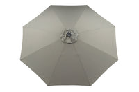 Sabal Parasol 