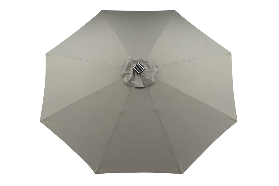 Sabal Parasol 